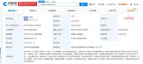 四川路橋比亞迪合資礦業公司注銷 跨界合作落幕，互聯網銷售模式下的礦業轉型反思