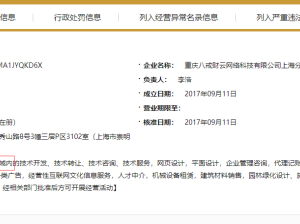 深入剖析重慶豬八戒網絡的優缺點 真正的網絡信息咨詢指南